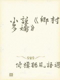 小说《乡村如此多娇》
