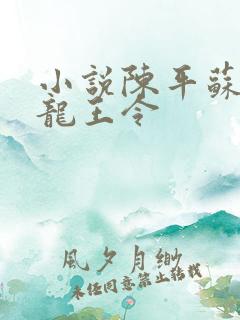 小说陈平苏雨琪龙王令