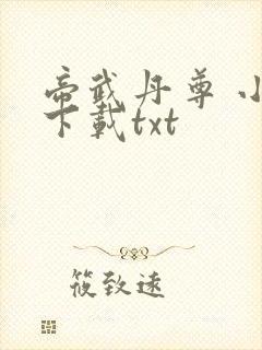 帝武丹尊 小说下载txt