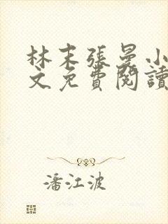 林末张曼小说全文免费阅读