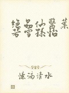 绝品仙医叶辰夏若雪孙怡