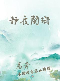 静夜阑珊