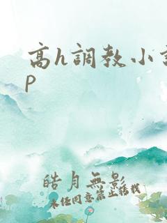高h调教小说np