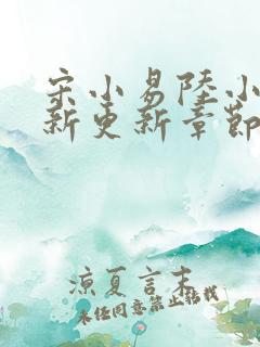 宋小易陆小婷最新更新章节笔趣阁