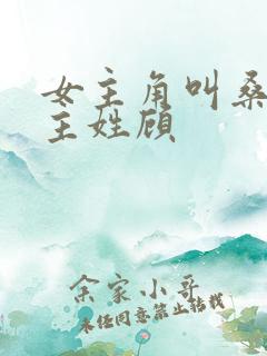 女主角叫桑晚男主姓顾