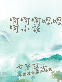 啊啊啊嗯嗯嗯啊啊小说