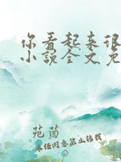 你看起来很好亲小说全文免费阅读笔趣阁