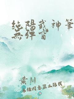 纯阳武神笔趣阁无弹窗