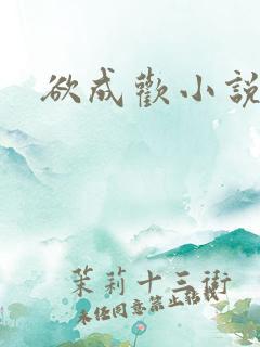 欲成欢小说