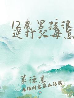 12岁男孩很叛逆打父母怎么办