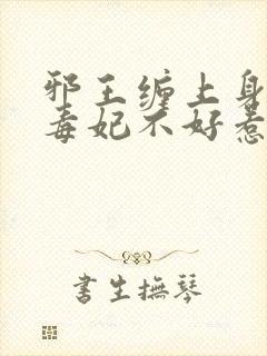 邪王缠上身邪医毒妃不好惹