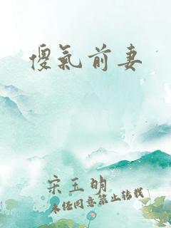 傻气前妻