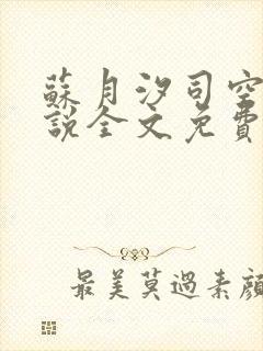 苏月汐司空靖小说全文免费阅读最新更新