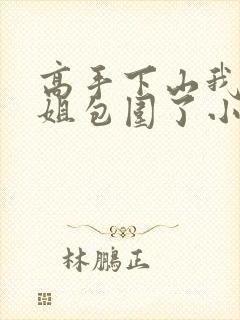 高手下山我被师姐包围了小说免费阅读