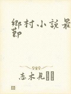 乡村小说最新章节