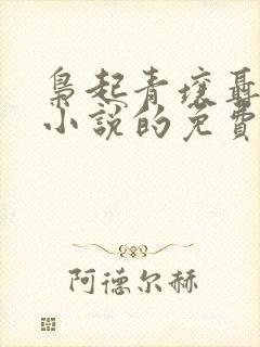 枭起青壤聂九罗小说的免费阅读