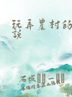 玩弄农村的岳小说