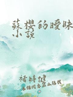 苏樱的暧昧情事小说