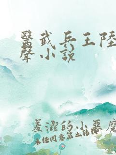 医武兵王陆轩有声小说