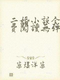 二婚小说全文免费阅读无弹窗