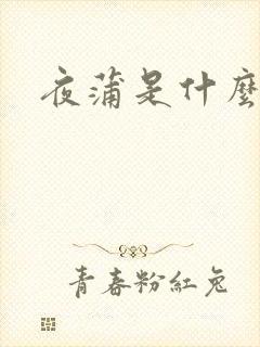 夜蒲是什么