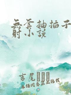 无套抽插子宫内射小说