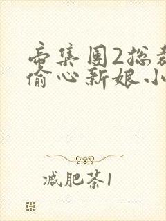 帝集团2总裁的偷心新娘小说