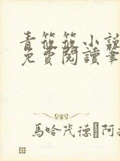 青筱筱小说全文免费阅读笔趣阁