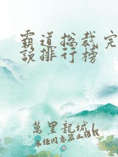 霸道总裁完结小说排行榜