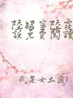 陆昭宁陆霆骁小说免费阅读最新章节