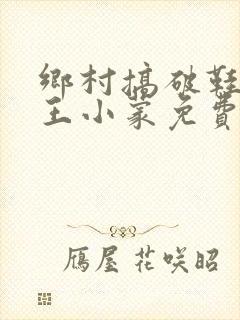 乡村搞破鞋主角王小蒙免费阅读