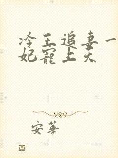 冷王追妻一品狂妃宠上天