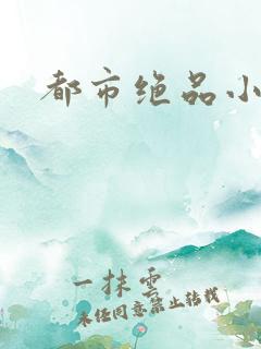 都市绝品小医仙