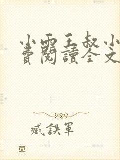小雨王叔小说免费阅读全文