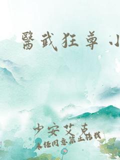 医武狂尊 小说