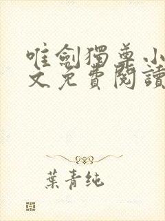 唯剑独尊小说全文免费阅读