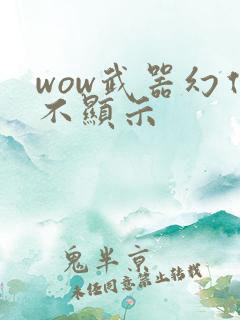wow武器幻化不显示