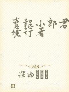 卖报小郎君 灵境行者