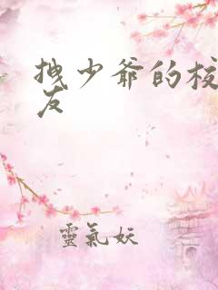 拽少爷的校花女友