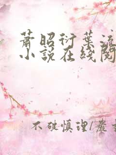 萧昭衍叶流锦的小说在线阅读
