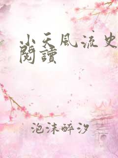 小天风流史全文阅读