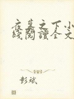 夜幕之下小说在线阅读全文