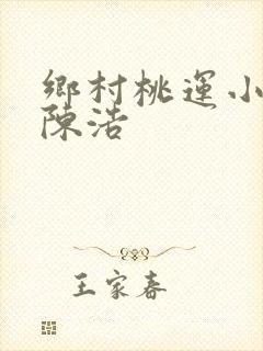 乡村桃运小神医陈浩