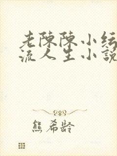 老陈陈小纭的风流人生小说免费阅读