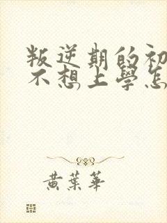 叛逆期的初中生不想上学怎么办
