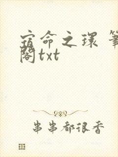 宿命之环 笔趣阁txt
