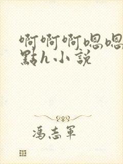 啊啊啊嗯嗯嗯轻点h小说