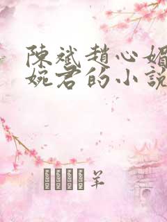 陈斌赵心媚和高婉君的小说
