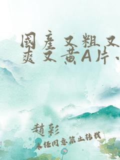 国产又粗又猛又爽又黄A片小说