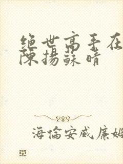 绝世高手在都市陈扬苏晴